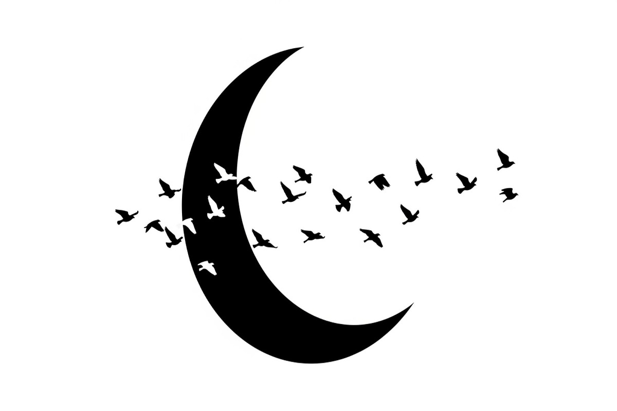 Flying Birds Moon SVG Bundle, an Illustration by yasushie (Photo 11 of 31)