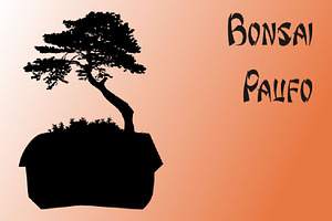 Bonsai Paufo