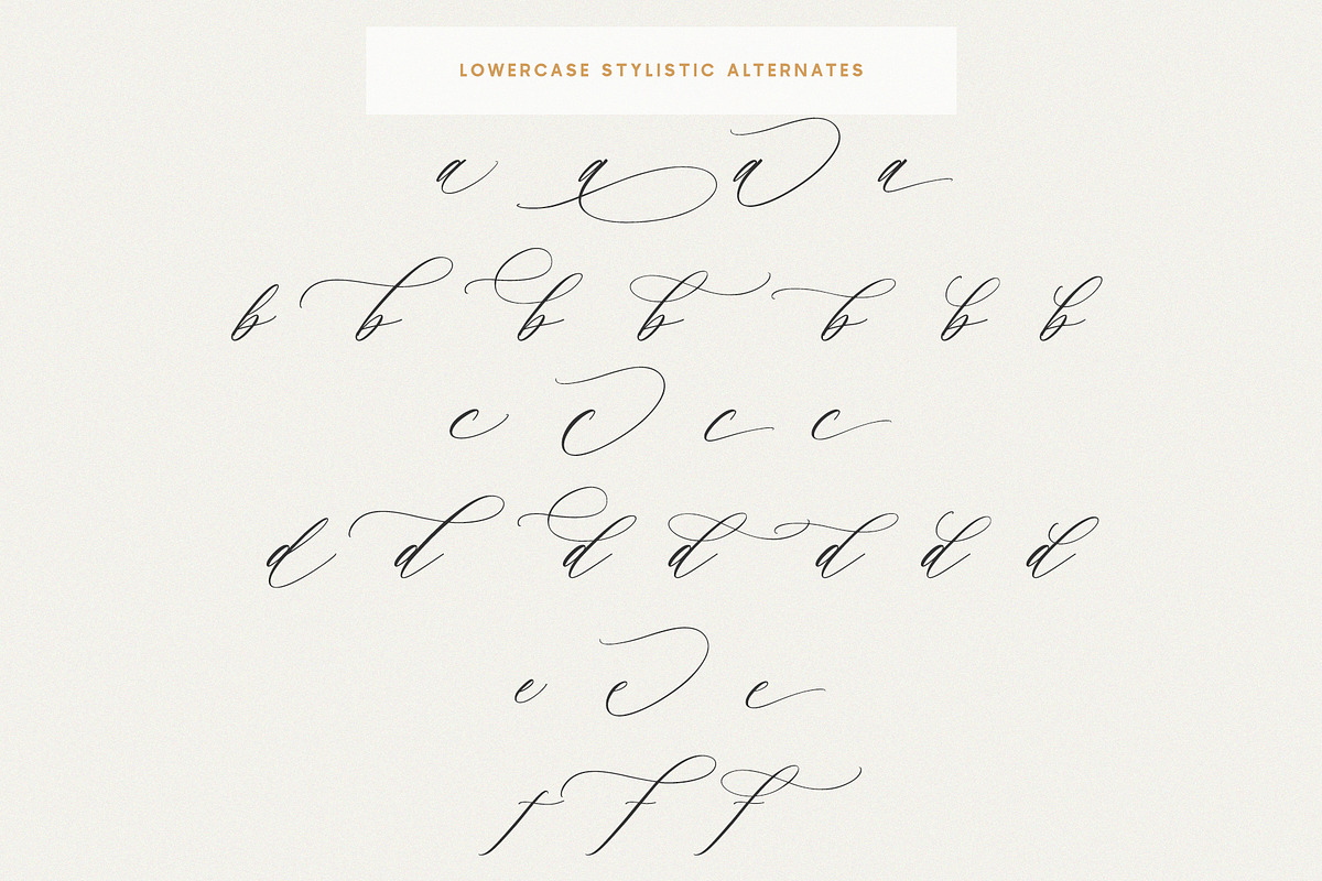 Saint Viet | Calligraphy Font, a Script Font by Calamar Studio (Photo 24 of 29)
