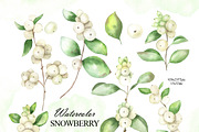 Watercolor snowberry clipart, an Illustration by OlDm_Shop (Thumbnail 2 of 11)