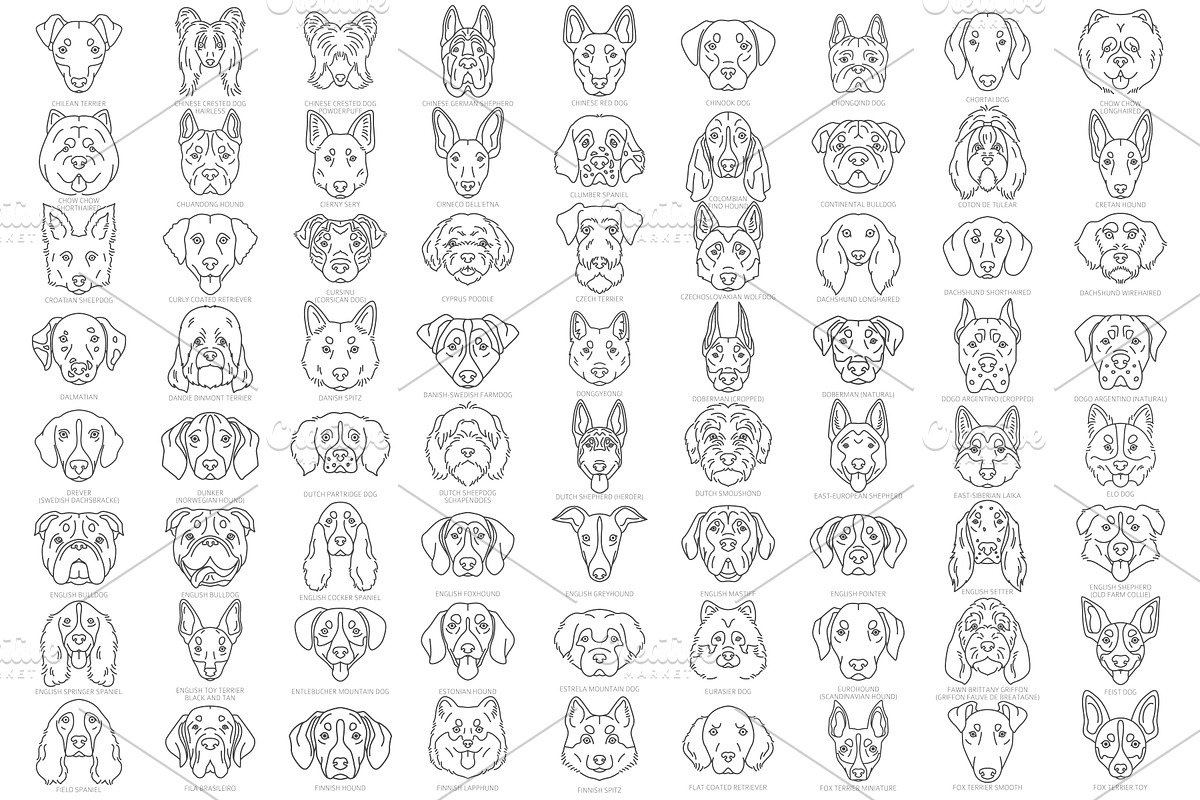 Dog Head Silhouettes Bundle, an Object Graphic by pet design shop (Photo 5 of 12)