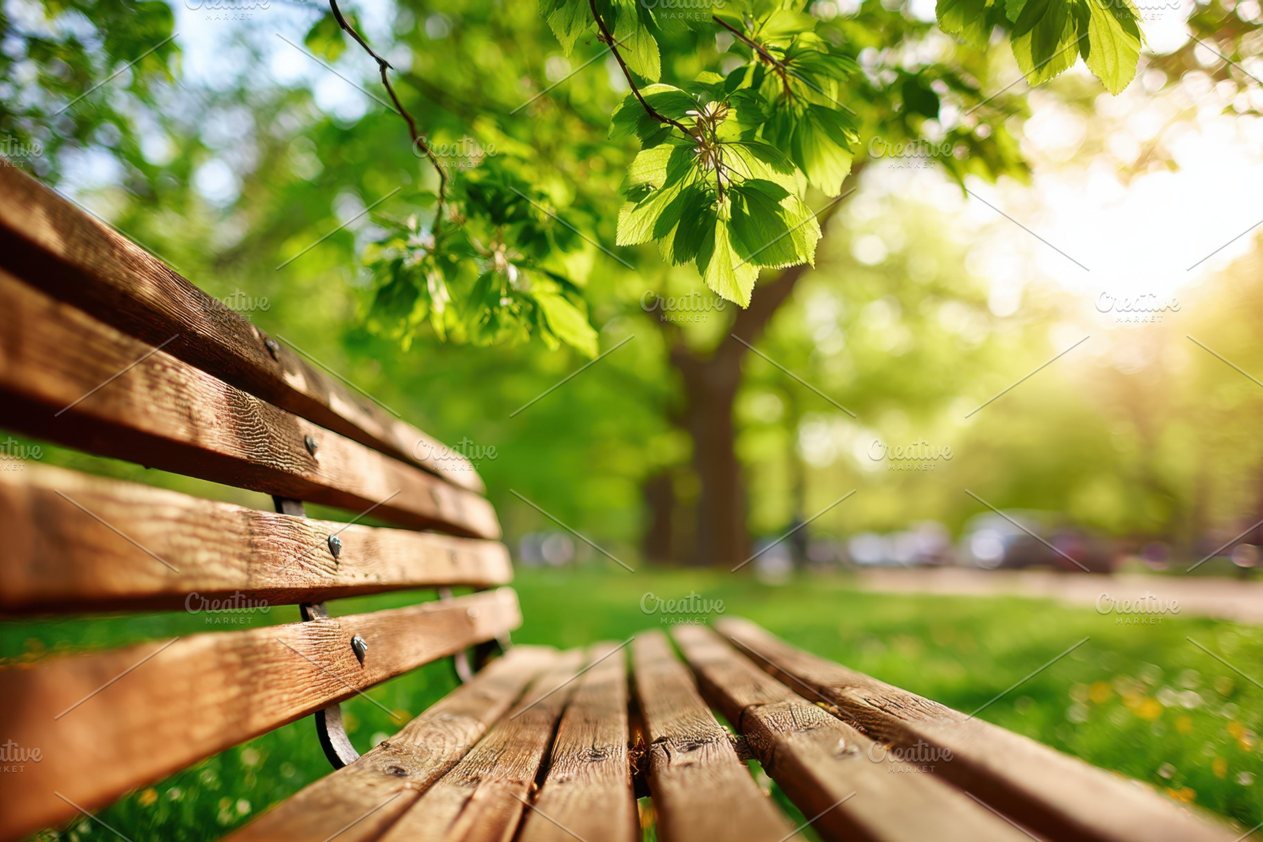 Empty park bench in sunny green garden under tree shade, a Nature Photo by AlyaAnd