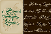 NS CHAMPTONE Fonts Collection, a Script Font by Novisouldado (Thumbnail 5 of 9)