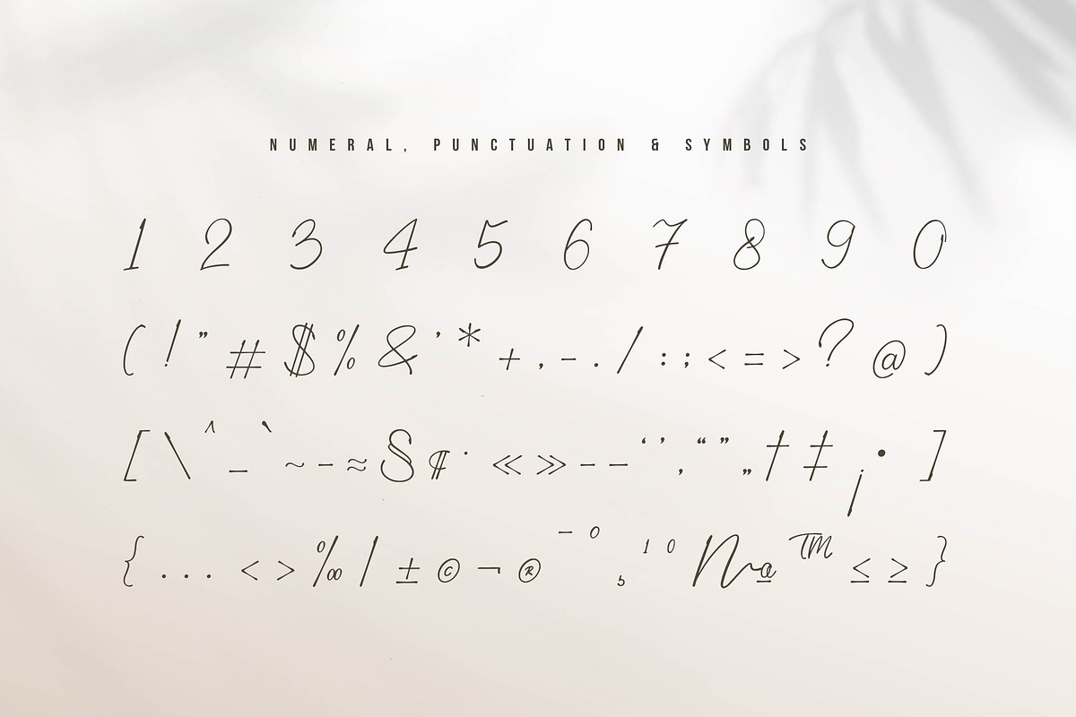 Gramy Pellicent | Handwritten Font, a Script Font by gracetype_studio (Photo 12 of 15)