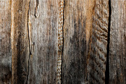 Barn & Farmhouse Wood Textures, a Background Photo by VetalStock (Thumbnail 8 of 10)