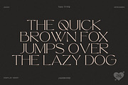 TAN - The Whistling, a Serif Font by TanType (Thumbnail 6 of 35)