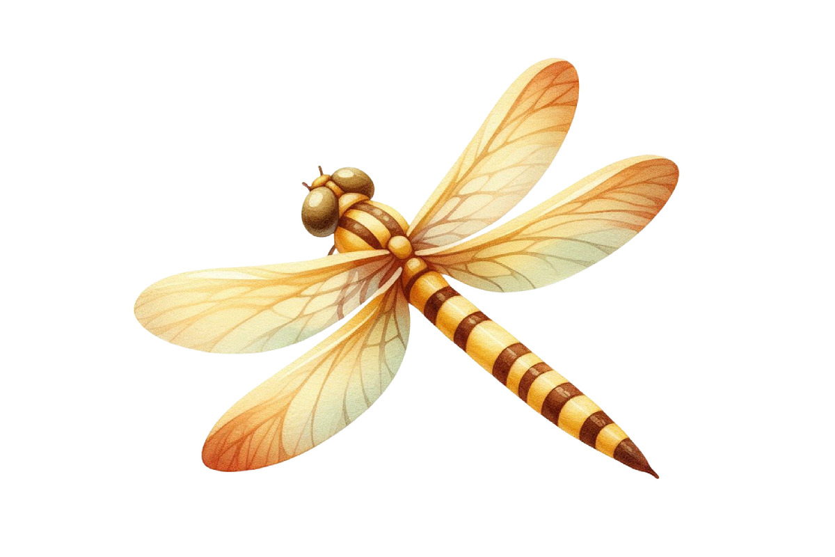 Yellow dragonfly  Summer Clipart, an Illustration by Designking (Photo 3 of 4)