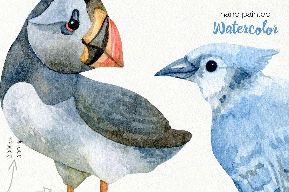 Watercolor Birds Clipart, an Animal Illustration by OllyKo Art (Photo 6 of 7)