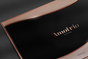 Amotrio Real Estate Brochure Covers, a Brochure Template by mario_kojic_design (Thumbnail 3 of 10)
