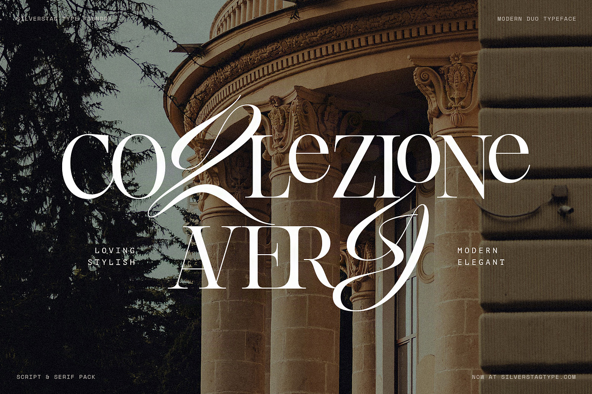 Hazel Shore - Serif & Script Duo, a Serif Font by SilverStag Type Foundry (Photo 24 of 30)