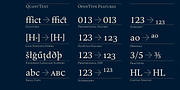 Quant Text, a Serif Font by Hoftype (Thumbnail 5 of 7)