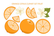Orange Citrus Clipart Set Fruit, an Object Graphic by Vaniuta_Art (Thumbnail 1 of 3)