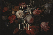 Alizee - Classy Hybrid Serif, a Serif Font by Harmonais Visual (Thumbnail 5 of 29)