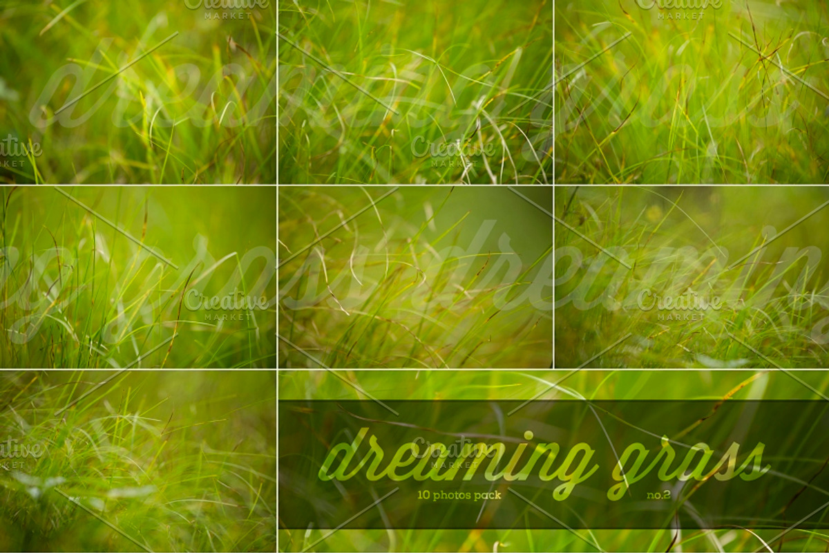 Dreaming grass no.2 - 10 photoset preview 4