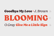 Moranga, a Serif Font by Latinotype (Thumbnail 6 of 15)