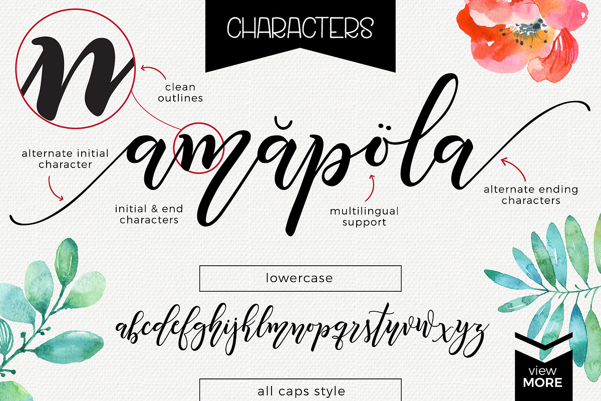 Amapola script font preview 4