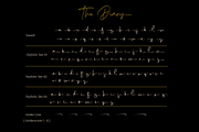 The Diary // Stylish Script Typeface, a Script Font by GDcreative (Thumbnail 8 of 9)