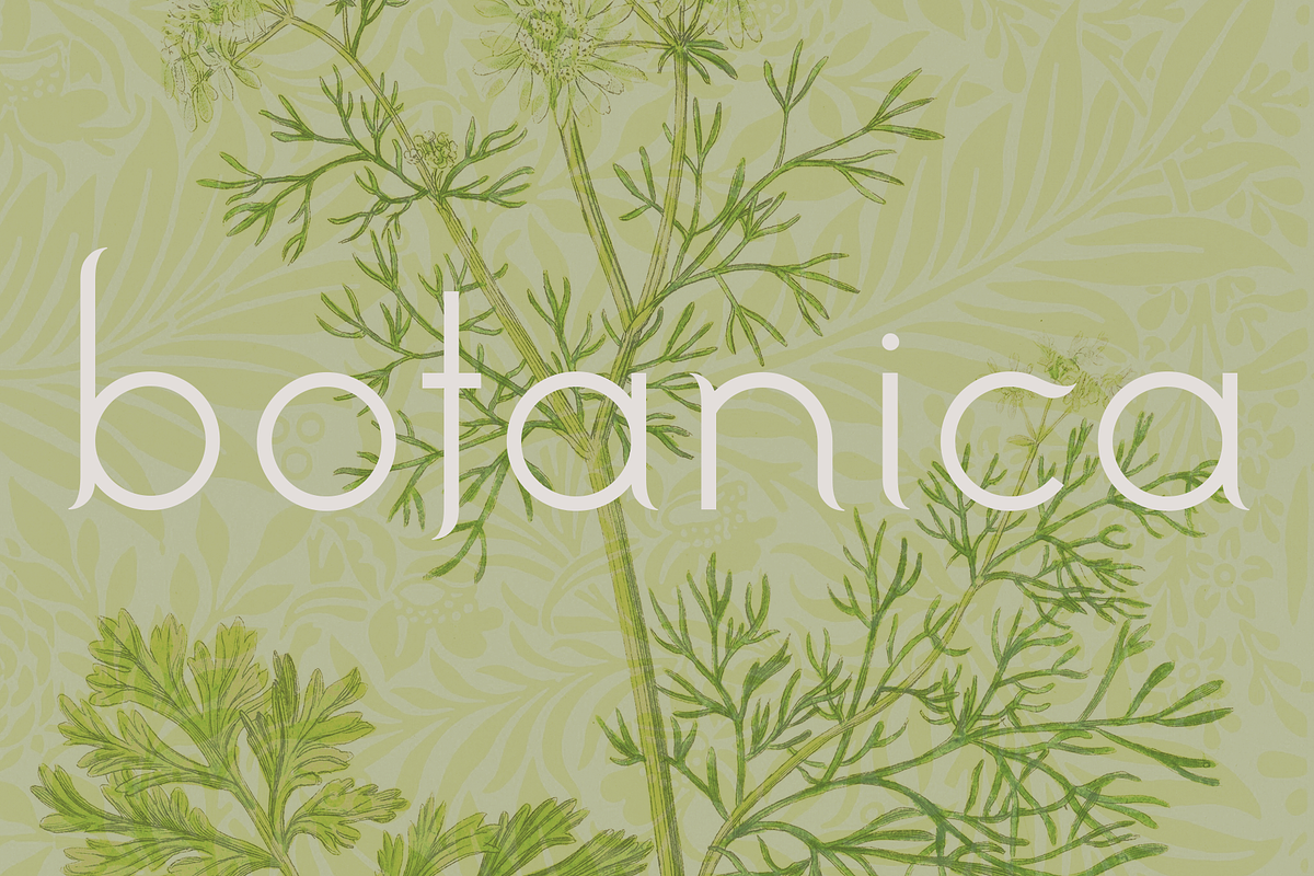 Botanica. Stylish modern and classic, a Sans Serif Font by LostandFoundry (Photo 1 of 6)