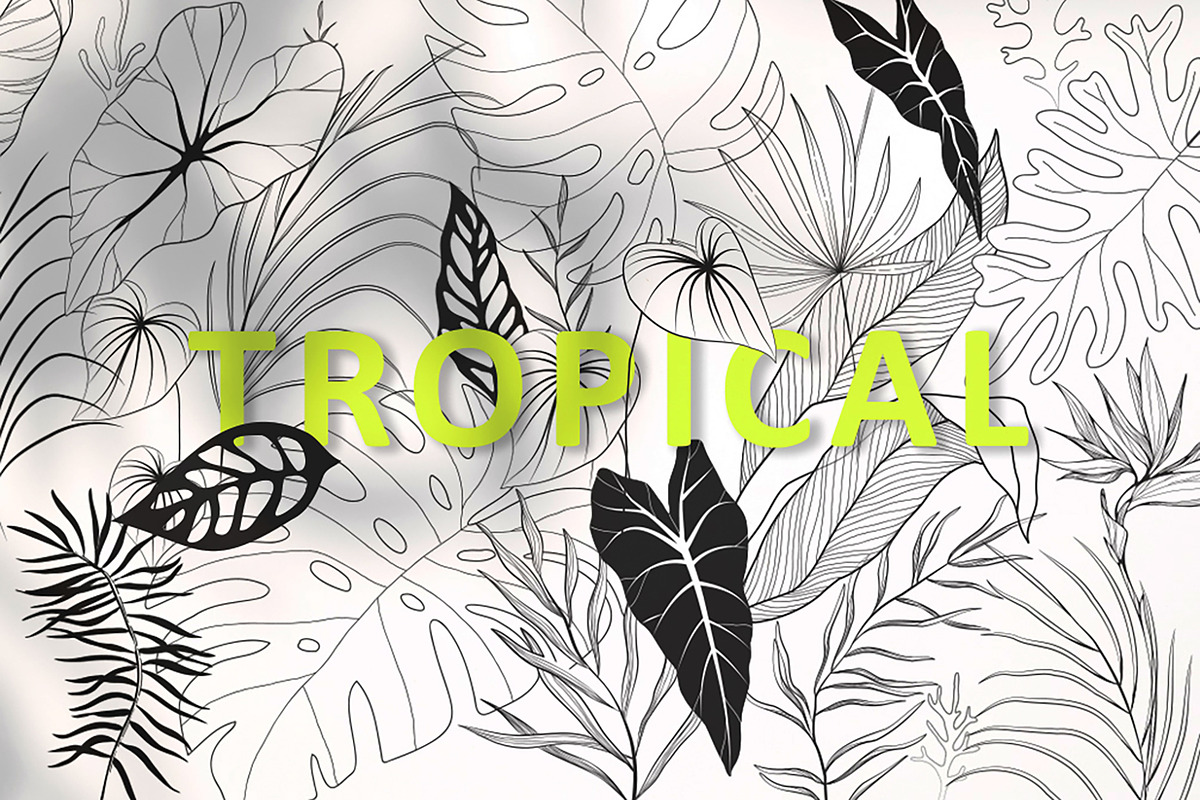Tropical collection, a Decorative Illustration by Merfin (Photo 1 of 10)