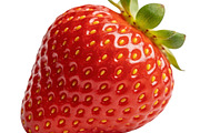 All Fruits Bundle Master Collection, a Food & Drink Photo by FlyeredTemplate (Thumbnail 106 of 130)