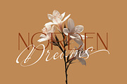 Skypiea Romantic Signature font Duo, a Serif Font by Romiecreative (Thumbnail 6 of 12)