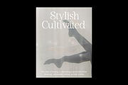 Salsify - Classic Thin Serif, a Serif Font by Pandeka Studio (Thumbnail 8 of 12)