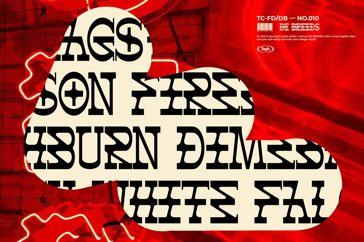 DE BREEDS, a Font by Tegh co. (Photo 14 of 15)