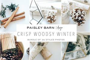 Crisp Woodsy Winter Photo Bundle