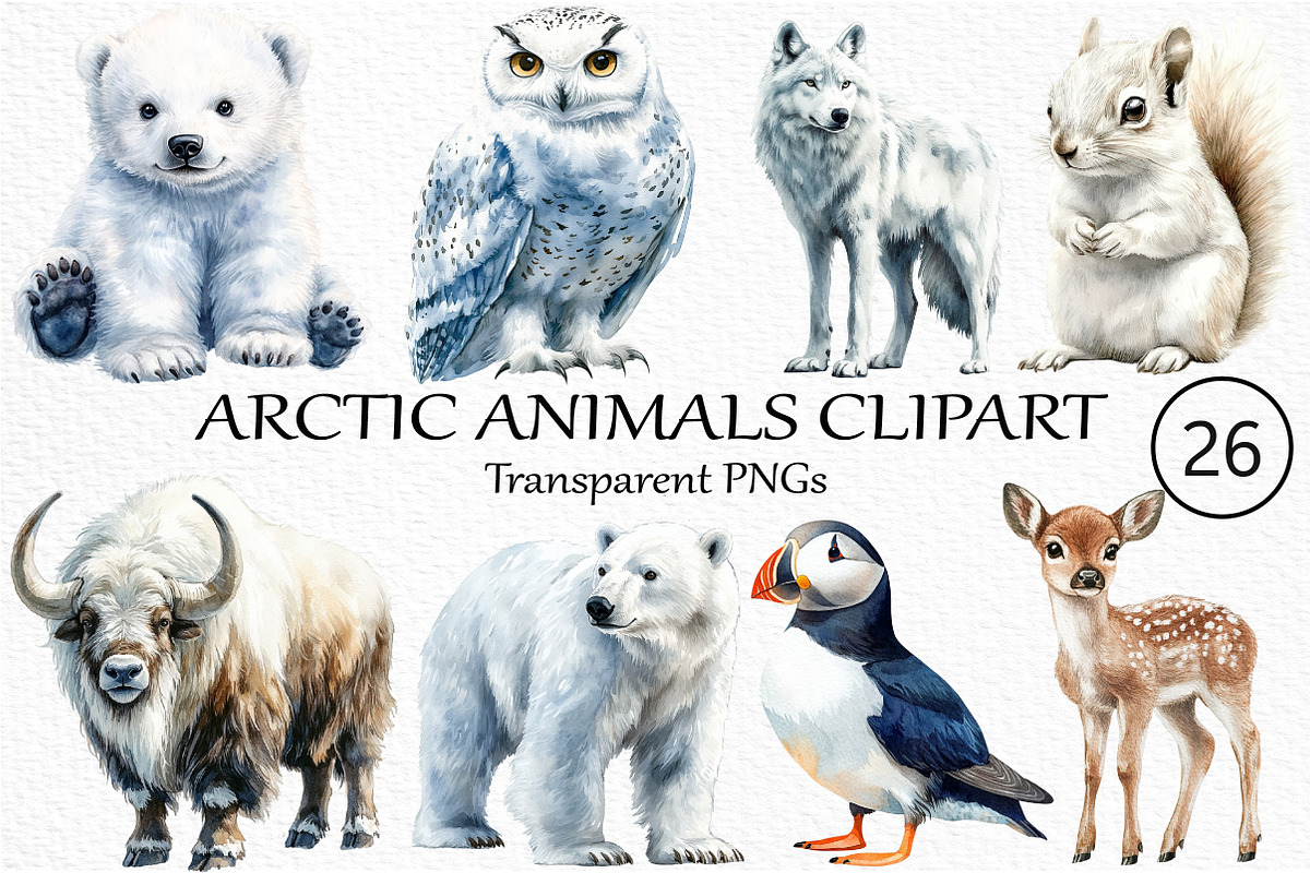 Arctic Animals Clipart, an Illustration by Craft Nest (Photo 1 of 6)