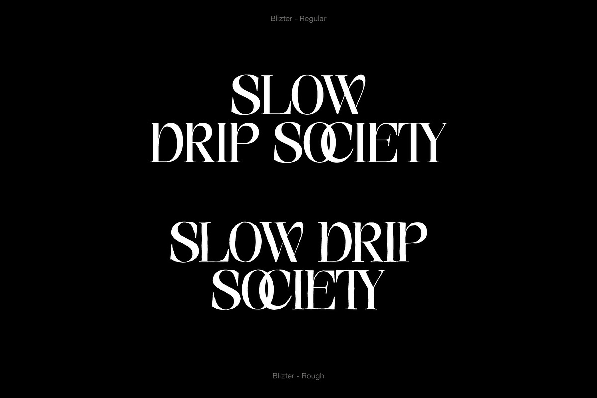 Blizter – Elegant & Stylish Serif, a Serif Font by Dikas Studio (Photo 6 of 12)