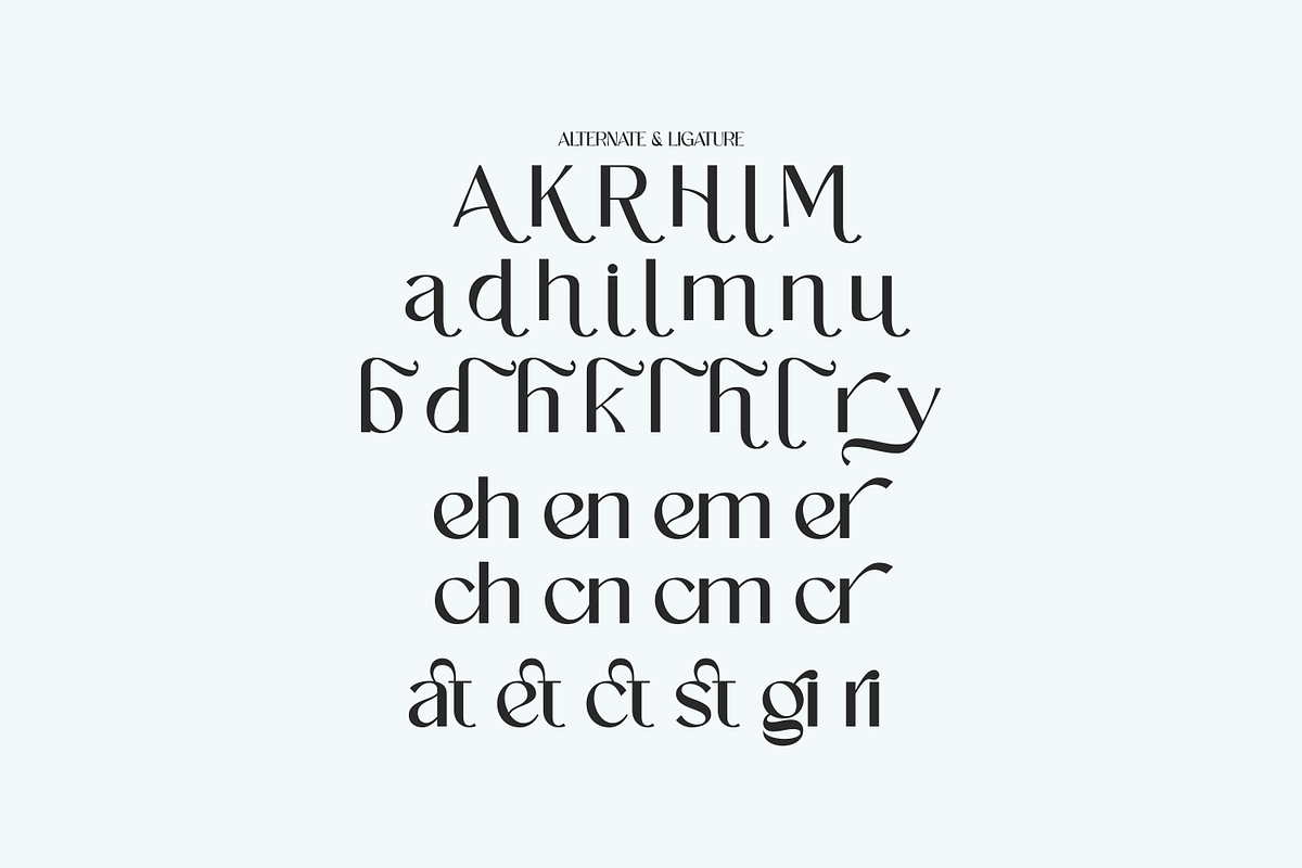 Aethera Modern Stylish Serif Font, a Serif Font by Morand Union (Photo 7 of 7)
