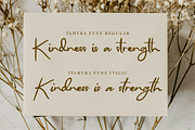 Tamyra Fyne - Bold Handwritten, a Handwritten Font by Indotype Foundry (Thumbnail 4 of 10)