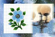 Blown Glass Flowers Collection, an Object Graphic by The Flossy Finch (Thumbnail 8 of 15)