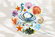 Marine Watercolor Clipart, an Animal Illustration by YarovaArt (Thumbnail 2 of 19)
