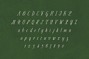 Garden State, a Serif Font by Bruised Goods (Thumbnail 9 of 15)