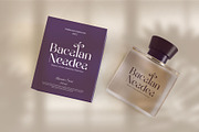Reafin || Modern Elegant Serif Font, a Serif Font by Idea Studio (Thumbnail 2 of 10)
