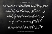 Bright Soul Script Font, a Script Font by Creativeqube Design (Thumbnail 2 of 5)