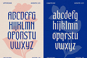 Akshita - Display Font, a Font by Uncarving (Thumbnail 4 of 12)