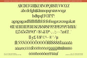 Valentine Editorial Serif, a Serif Font by AmorfaType (Thumbnail 8 of 8)