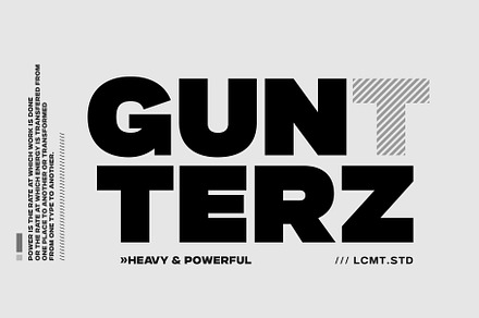Gunterz, a Sans Serif Font by Locomotype