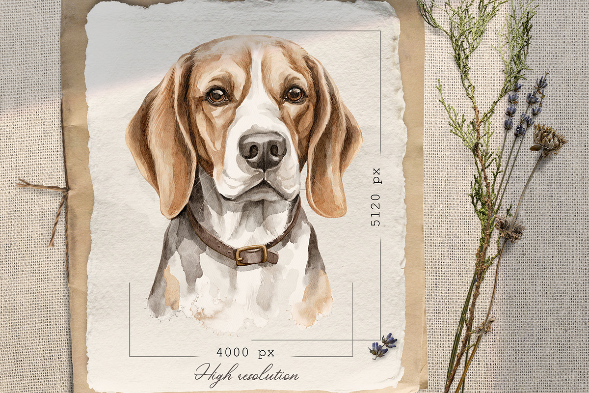 Dog portraits, an Animal Illustration by Mimomy (Photo 6 of 9)