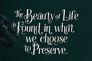 Grandeu Bearzens - Vintage Serif, a Serif Font by HypeWorksCo (Thumbnail 11 of 15)