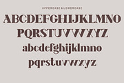 Amelia, a Serif Font by Kenrichi (Thumbnail 6 of 10)
