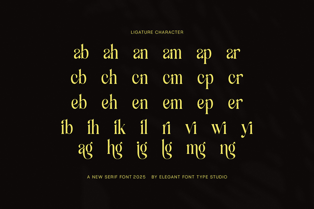 Mango Elegant Serif Font, a Serif Font by Elegant Font (Photo 7 of 8)