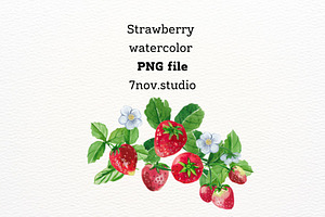 Strawberry Watercolor