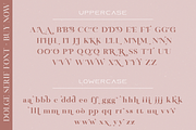 Dolge Serif Font-Modern/Vintage Font, a Serif Font by GlitzyGrapix (Thumbnail 14 of 15)