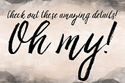 Ashley Brush Script, a Script Font by Printable Wisdom (Thumbnail 5 of 5)