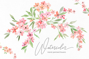 Watercolor Pink Floral Sprigs, a Decorative Illustration by GraphicsDish