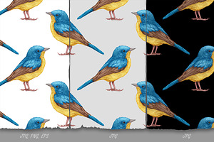 Blue Flycatcher // Pattern Design