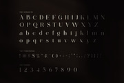 Aldiner Elegant Serif Font, a Serif Font by Perfectype (Thumbnail 7 of 8)
